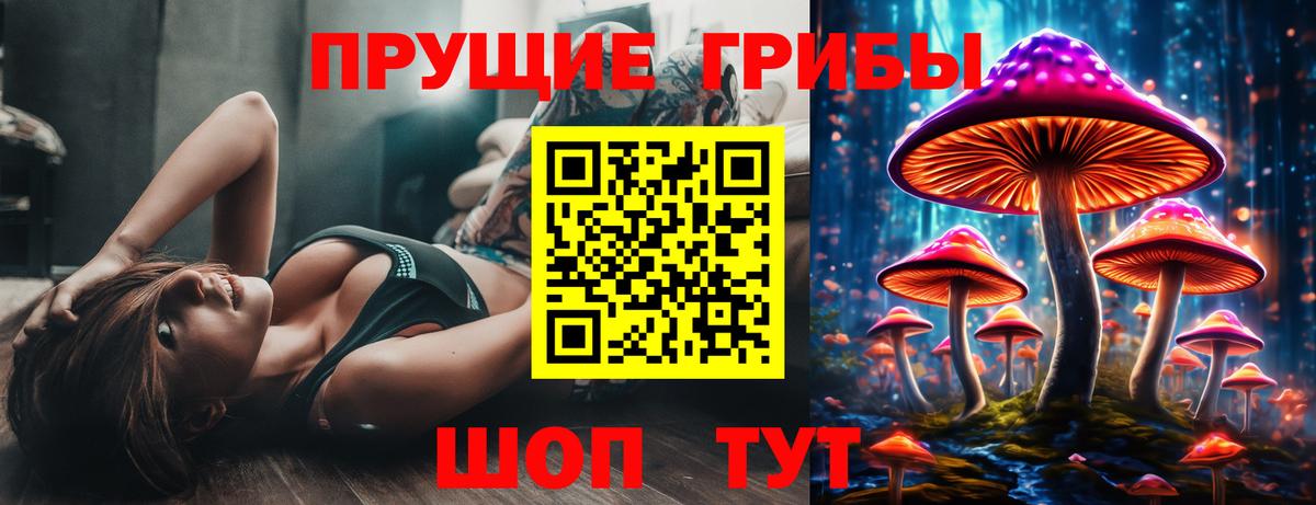 Псилоцибиновые грибы Psilocybine cubensis Гатчина